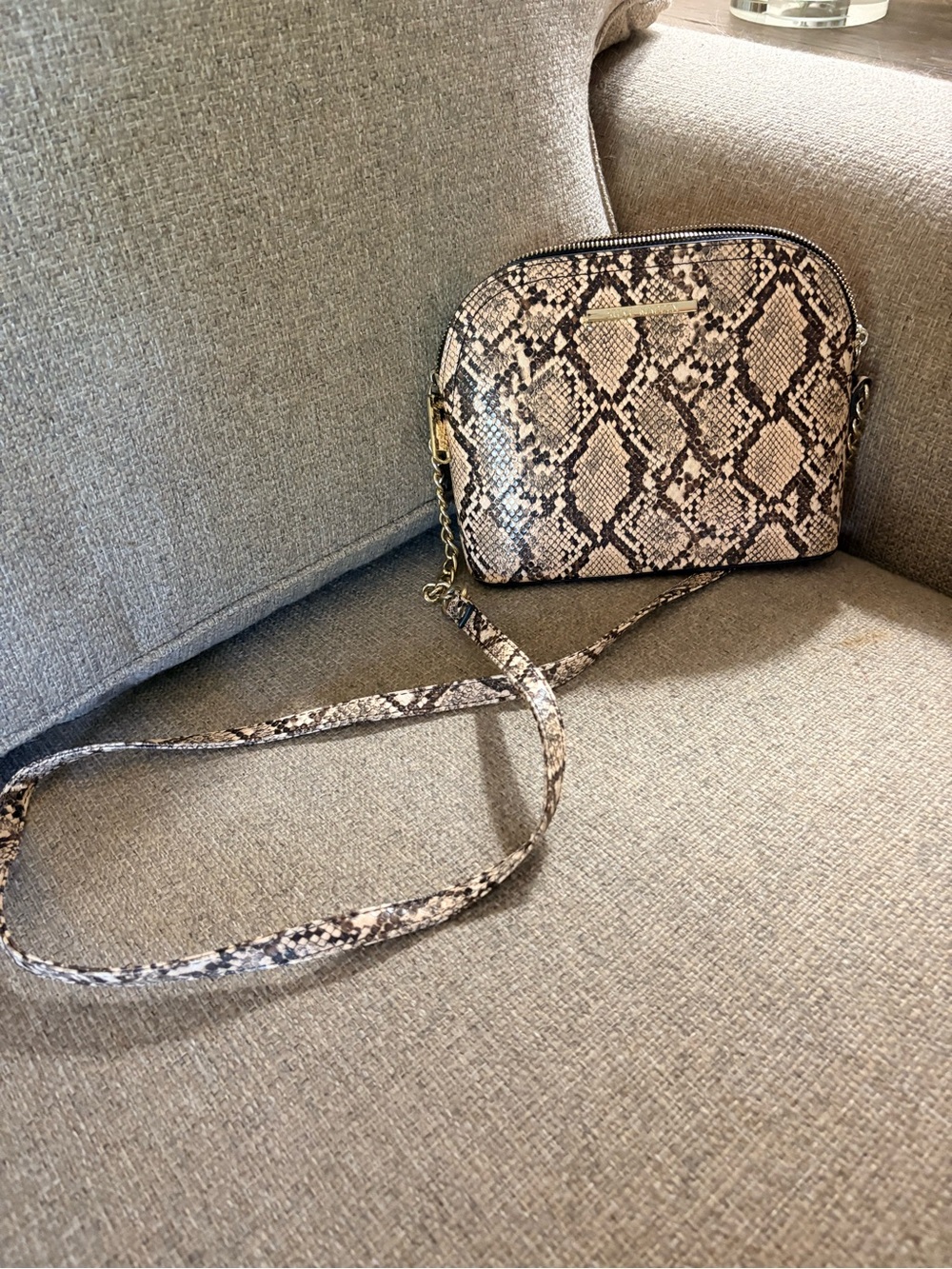 Steve Madden Snake-Print Crossbody in Beige and Black